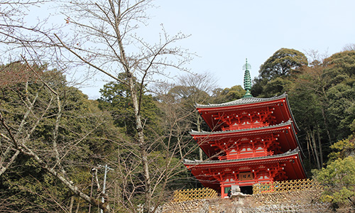 syunkanzenshin